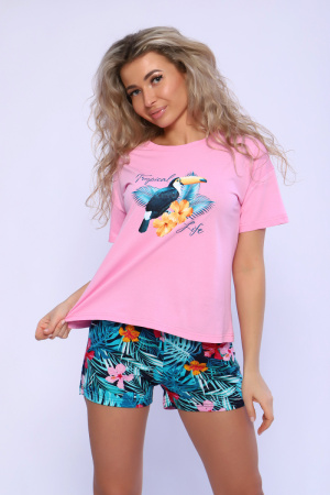 1c9ac259-fc4c-4afb-b4dc-bc3b9e531910