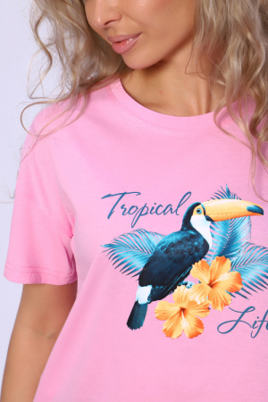 389f5494-fafa-4809-8700-e062cb48fd1d